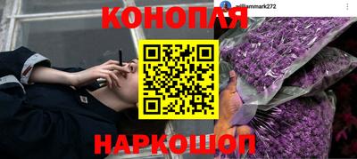 тгк Ставрополь