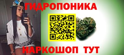 тгк Ставрополь