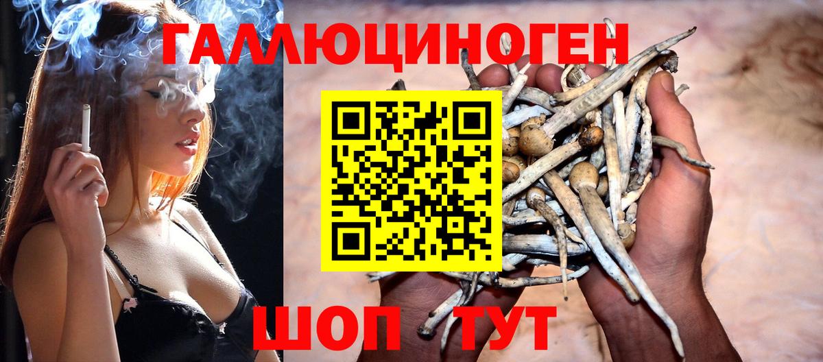 Псилоцибиновые грибы Magic Shrooms Шелехов